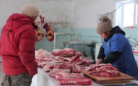 МАХ, СҮҮ, ӨНДӨГ ЗЭРЭГ ХҮНСНИЙ БҮТЭЭГДЭХҮҮНЭЭС ЭМГЭГ ҮҮСГЭГЧ НЯН, ХӨГЦ БОЛОН БОХИРДОЛТОЙ ХОЛБООТОЙ ЗӨРЧЛҮҮД ИЛЭРЧЭЭ