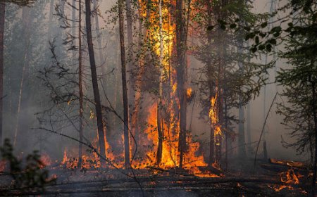 УЛСЫН ХЭМЖЭЭНД ОЙ, ХЭЭРИЙН НИЙТ 82 ТҮЙМЭР БҮРТГЭГДЭЭД БАЙНА