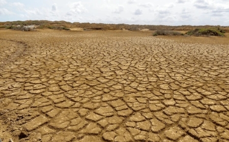 ГОВИЙН УСЖУУЛАЛТЫН МЕГА ТӨСӨЛ ЭХЭЛЛЭЭ