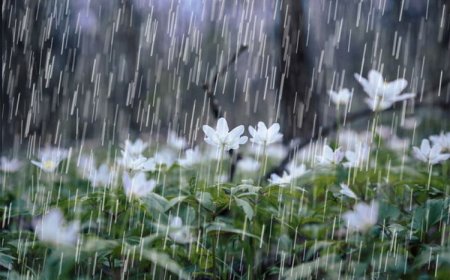 БАРУУН БОЛОН ТӨВИЙН АЙМГУУДЫН ХОЙД НУТГААР БОРОО ОРЖ, ЦАГ АГААР СЭРҮҮСЭХ ТӨЛӨВТЭЙ БАЙНА