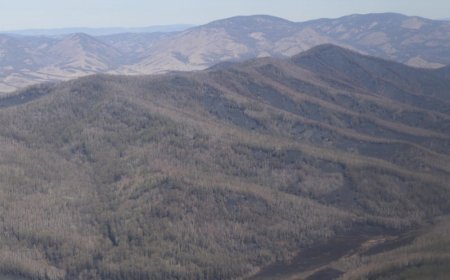 ОНЦГОЙ БАЙДЛЫН АЛБА АЮУЛТ ҮЗЭГДЭЛ, ОСЛЫН 117 УДААГИЙН ДУУДЛАГАД АЖИЛЛАЖ, 157 ИРГЭНИЙ АМЬ НАСЫГ АВРАН ХАМГААЛАВ