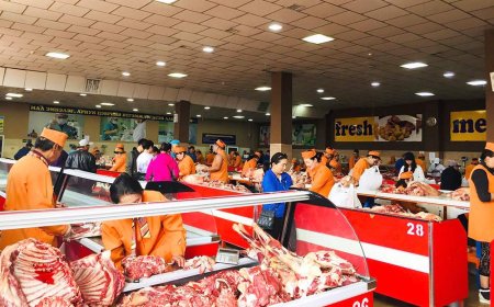 ҮХРИЙН МАХ – ЯСТАЙ 19.000-21.000, ЦУЛ МАХ 21.000-23.000 ТӨГРӨГ БАЙНА