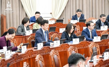 УЛСЫН ЗЭРЭГЛЭЛТЭЙ ЗУРГАА, ОРОН НУТГИЙН ЗЭРЭГЛЭЛТЭЙ 43 ХОТТОЙ БОЛНО