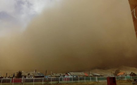 СЭРЭМЖЛҮҮЛЭГ: БАРУУН БОЛОН ГОВИЙН АЙМГУУДААР ЦАС ОРЖ, ХҮЧТЭЙ ШУУРГА ШУУРНА