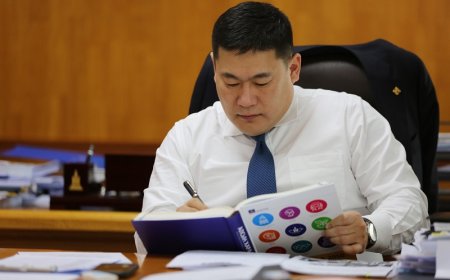ЕРӨНХИЙ САЙДЫГ АЛБАН ТУШААЛАА ӨГӨХӨД ХҮРГЭСЭН БОДИТ ШАЛТГААНУУД