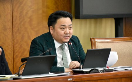 Ж.БАЯСГАЛАН: ХЭРЭГЛЭСЭН МӨНГӨ НЬ ӨӨРИЙНХ ҮҮ, ААВЫНХ НЬ УУ, ЯАЖ ОРЖ ИРСЭН МӨНГӨ ГЭДГИЙГ БАТАЛЖ НОТЛОХ ЁСТОЙ