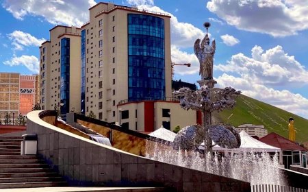 УЛААНБААТАРТ 13 ХЭМ ДУЛААН, БОРОО ОРОХГҮЙ