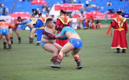 НААДМЫН СОРИЛГО БАРИЛДААН ЗУРГААДУГААР САРЫН 28-НД БОЛНО