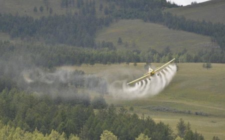 БОГД УУЛАНД ХОР ЦАЦАХ ТУЛ 14 ХОНОГ АЯЛАХГҮЙ БАЙХЫГ АНХААРУУЛЛАА