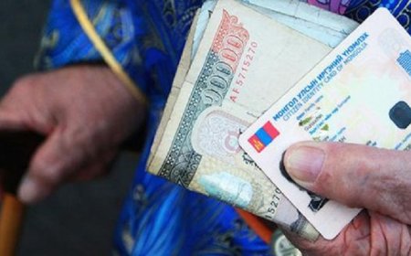 ОЛОН ЭХ ҮҮСВЭРЭЭС ТЭТГЭВЭР АВАХ БОЛОМЖ БҮРДЭНЭ