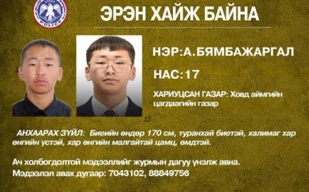 ХЭРГИЙГ МӨРӨӨР: АЛГА БОЛСОН ХҮҮГ АЙЛУУДЫН ЗУСЛАН, ЭЗЭНГҮЙ БАЙШИНГААР ХАЙЖ БАЙНА