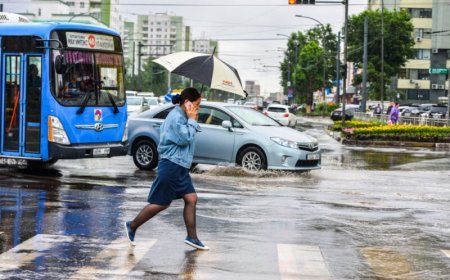 УЛААНБААТАР ХОТОД ҮҮЛЭРХЭГ, БАГА ЗЭРГИЙН БОРОО ОРНО