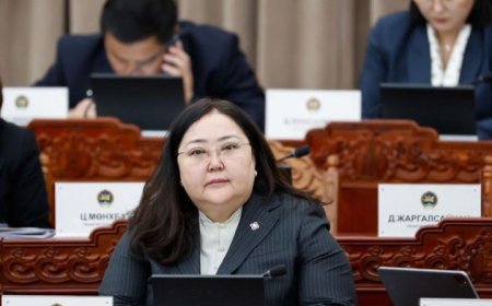 П.БАТЧИМЭГ: ЦАХИЛГААН СКҮҮТЕРИЙГ 16-ГААС ДЭЭШ, ЦАХИЛГААН ДУГУЙГ 18-ААС ДЭЭШ НАСНЫХАН ЖОЛООДНО ГЭЖ ХУУЛИЙН ТӨСӨЛД ТУСГАСАН