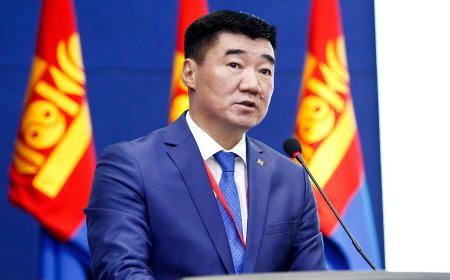 С.БЯМБАЦОГТ: ТӨҮГ-УУД ДЭЭР ТА НАРЫГ ХУЛГАЙ ХИЙЛГЭХГҮЙ ГЭЖ ХЯНАЛТЫН МЕНЕЖЕРҮҮДИЙГ ТОМИЛСОН ГЭЖ АН-ЫНХАН САНУУЛААД БАЙГАА
