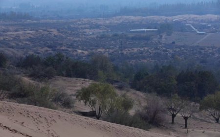 НИЙТ НУТГИЙН 0.2% НЬ МАШ ХҮЧТЭЙ ГАНТАЙ БАЙНА