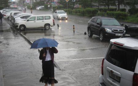 УЛААНБААТАРТ ӨДӨРТӨӨ ДУУ ЦАХИЛГААНТАЙ ААДАР БОРОО ОРНО