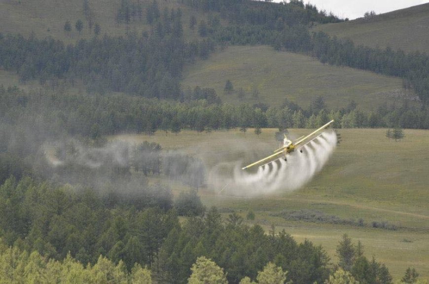 БОГД УУЛАНД ХОР ЦАЦАХ ТУЛ 14 ХОНОГ АЯЛАХГҮЙ БАЙХЫГ АНХААРУУЛЛАА
