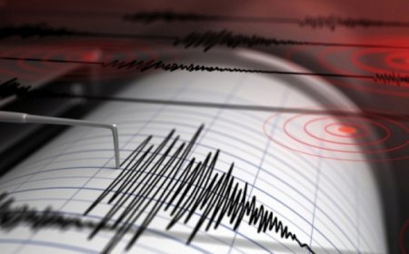 ДУНДГОВЬ АЙМГИЙН ДЭЛГЭРХАНГАЙ СУМАНД 3.5 МАГНИТУДЫН ХҮЧТЭЙ ГАЗАР ХӨДӨЛЖЭЭ