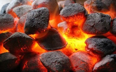 10-Р САРЫН 01-НЭЭС БОРЛУУЛАХ ХАГАС КОКСОН НҮҮРС НЭГ ШУУДАЙ НЬ 5000 ТӨГРӨГ