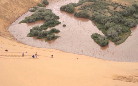 ЭЛСЭН МАНХНЫ ТҮРЭЛТ 5.2 МЕТР УРАГШИЛСАН НЬ ТОГТООГДЖЭЭ