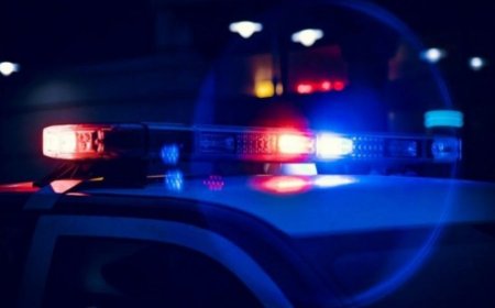 СЭРЭМЖЛҮҮЛЭГ: 8 САРТАЙ ХҮҮХДЭЭ ЖОЛООНЫ ХҮРДНИЙ АРД, ӨВӨР ДЭЭРЭЭ ЗОРЧУУЛСНЫ УЛМААС ЭНДЖЭЭ