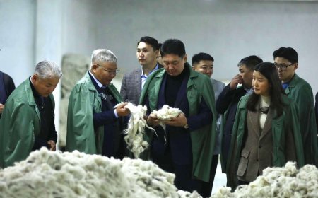 “ЦАГААН АЛТ” ХӨТӨЛБӨРИЙН ҮР ДҮНД АНХ УДАА ТҮҮХИЙ ЭДИЙН 50 ХУВИЙГ ДОТООДЫН ҮЙЛДВЭРЛЭГЧИД БЭЛТГЭЖЭЭ