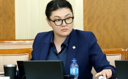 ШҮҮХ: УИХ-ЫН ГИШҮҮН Э.БОЛОРМААГ АЛБАДАН ИРҮҮЛЭХ ШҮҮХИЙН ШИЙДВЭР ГАРСАН