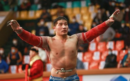 УЛСЫН АРСЛАН Б.ОРХОНБАЯР БНСУ-Д ФЭНҮҮДТЭЙГЭЭ УУЛЗАХ ТУЛ ӨНӨӨДӨР ЗОДОГЛОХГҮЙ