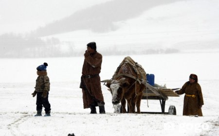 ОЙРЫН ӨДРҮҮДЭД ЗАРИМ НУТГААР ЦАС ОРЖ, ЦАСАН ШУУРГА ШУУРНА