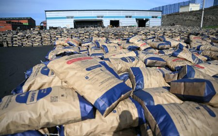 ШИНЖИЛГЭЭГЭЭР ХАГАС КОКСОН ТҮЛШ НЬ СТАНДАРТЫН ШААРДЛАГА ХАНГАСАН ГАРЧЭЭ