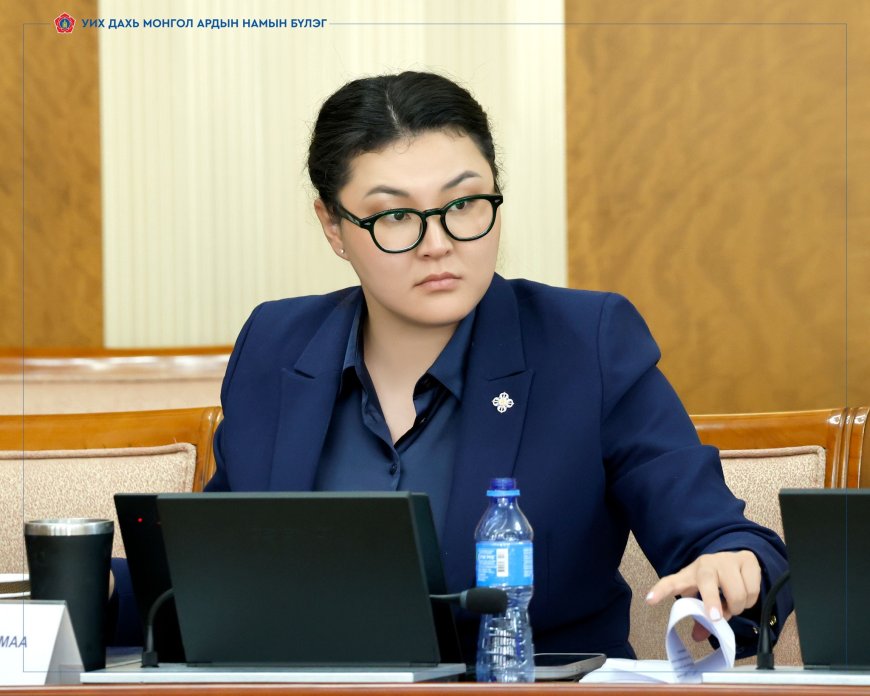 ШҮҮХ: УИХ-ЫН ГИШҮҮН Э.БОЛОРМААГ АЛБАДАН ИРҮҮЛЭХ ШҮҮХИЙН ШИЙДВЭР ГАРСАН