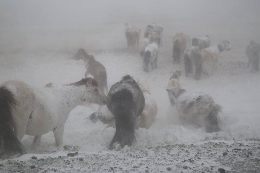 СЭРЭМЖЛҮҮЛЭГ: МАЛЫНХАА АРААС ЯВААД ТӨӨРСӨН 42 НАСТАЙ ЭРЭГТЭЙГ 17 ЦАГИЙН ДАРАА ОЛЖЭЭ