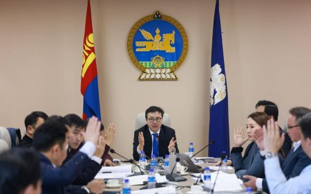 НИЙСЛЭЛ УЛСЫН ТӨСӨВТ 263 ТЭРБУМ ТӨГРӨГИЙГ ТӨВЛӨРҮҮЛНЭ