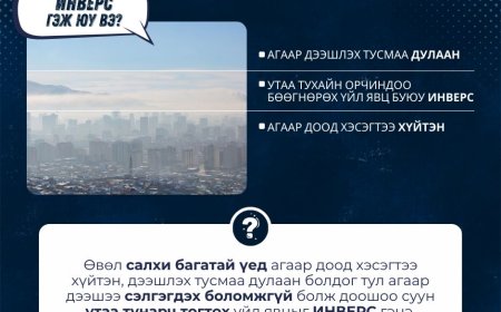 ӨВӨЛ ИНВЕРС ҮҮСЭЖ, УТАА ТУХАЙН ОРЧИНДОО БӨӨГНӨРДӨГ