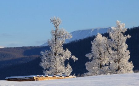 ТАВ ХОНОГИЙН ЦАГ АГААР: 12-НООС НИЙТ НУТГААР ХҮЙТНИЙ ЭРЧ ЧАНГАРНА