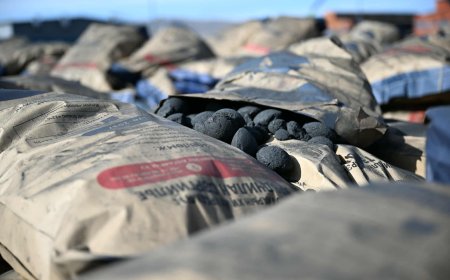 БАЙНГЫН ХОРОО: ХАГАС КОКСОН ТҮЛШНИЙ АСУУДЛААР ЭРЧИМ ХҮЧНИЙ САЙДАД ХАНДСАН АСУУЛГЫН ХАРИУГ ХЭЛЭЛЦЭНЭ