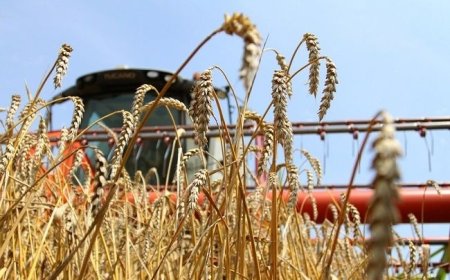 Ургац алдсан тариаланчдын зээлийг хойшлуулж, сунгахад шаардагдах ₮4,2 тэрбумыг төсвөөс гаргана