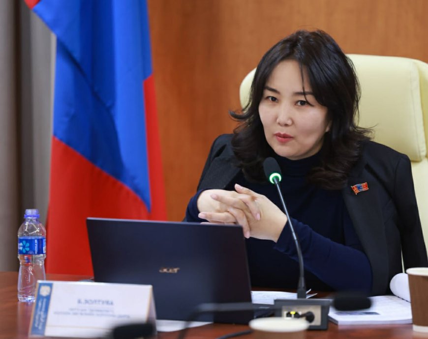 БАЙГАЛЬ ОРЧИН, НОГООН ХӨГЖЛИЙН БОДЛОГЫГ ДЭМЖСЭН ХӨРӨНГӨ ОРУУЛАЛТ ЗАЙЛШГҮЙ ШААРДЛАГАТАЙ БАЙНА ГЭВ