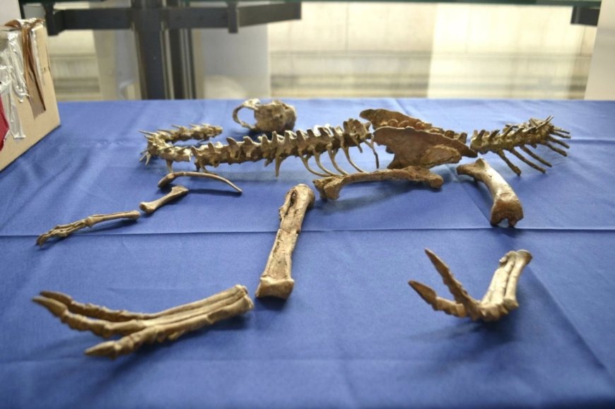 МОНГОЛООС ХИЛ ДАВЖ ФРАНЦАД ХУРААГДСАН ҮЛЭГ ГҮРВЭЛИЙН ЧУЛУУЖСАН ОЛДВОРЫГ ЭРГҮҮЛЭН ӨГЧЭЭ