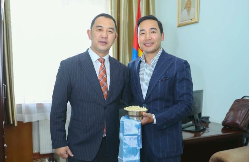 ЕРӨНХИЙЛӨГЧИЙН ЗӨВЛӨХ БӨГӨӨД ХЭВЛЭЛИЙН АЛБАНЫ ДАРГААР Ц.ГАНЗОРИГИЙГ ТОМИЛЛОО