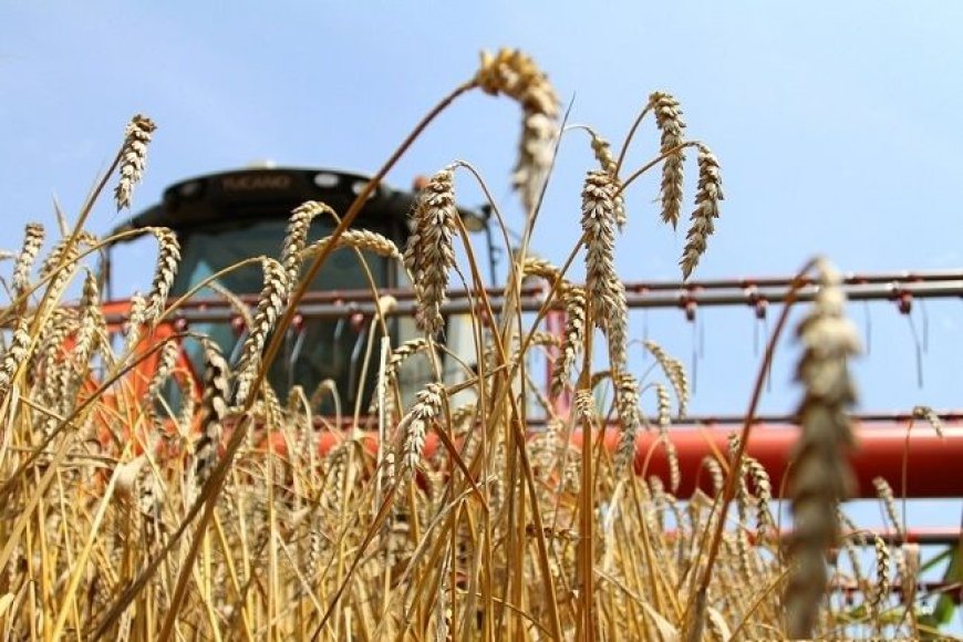 Ургац алдсан тариаланчдын зээлийг хойшлуулж, сунгахад шаардагдах ₮4,2 тэрбумыг төсвөөс гаргана