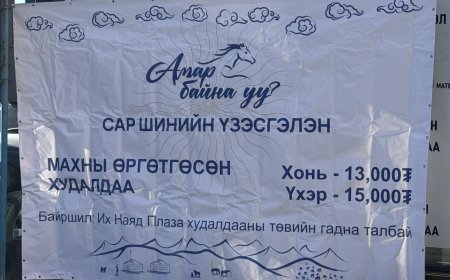 НӨӨЦИЙН МАХНЫ ӨРГӨТГӨСӨН ХУДАЛДААГ ДОЛООН БАЙРШИЛД ЗОХИОН БАЙГУУЛЖ БАЙНА