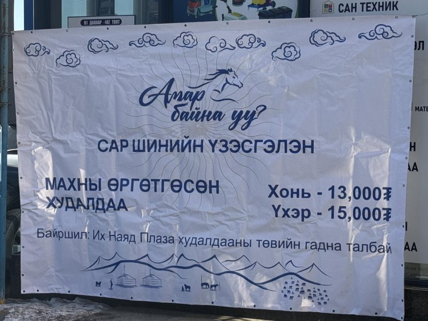 НӨӨЦИЙН МАХНЫ ӨРГӨТГӨСӨН ХУДАЛДААГ ДОЛООН БАЙРШИЛД ЗОХИОН БАЙГУУЛЖ БАЙНА