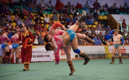 НАУРЫЗЫН БАЯРЫН БАРИЛДААН БЯМБА ГАРАГТ, ЧАНСАА ӨНДӨР ДӨРВӨН БӨХИЙН ХАЛЗ БАРИЛДААН НЯМ ГАРАГТ БОЛНО