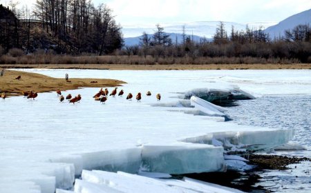 ӨНӨӨДӨР ИХЭНХ НУТГААР СЭРҮҮСНЭ