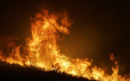 СЭРЭМЖЛҮҮЛЭГ: ИЛ ЗАДГАЙ ГАЛ ТҮЛЭХГҮЙ БАЙХЫГ АНХААРУУЛЖ БАЙНА