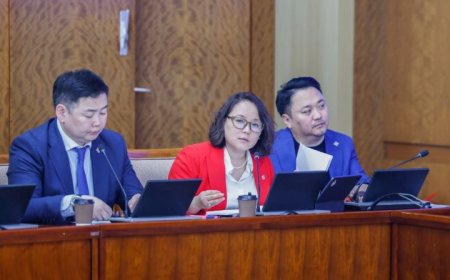 ХӨГЖЛИЙН БЭРХШЭЭЛТЭЙ ИРГЭДИЙГ ОРОН СУУЦЖУУЛАХ АСУУДЛААРХ О.САРАНЧУЛУУН ГИШҮҮНИЙ АСУУЛГЫН ХАРИУГ ХЭЛЭЛЦЛЭЭ