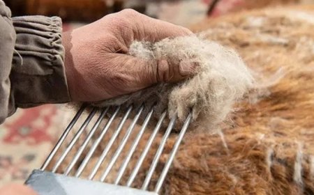 НООЛУУР 170.000-207.000 ТӨГРӨГИЙН ХАНШТАЙ БАЙНА