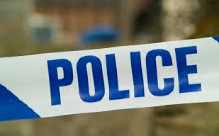 МОНГОЛ УЛСАД ГАНЦААРАА АЯЛАХААР ИРСЭН СОЛОНГОС ИРГЭНИЙ ЦОГЦОС ХҮЙ ДОЛООН ХУДГААС ОЛДЖЭЭ