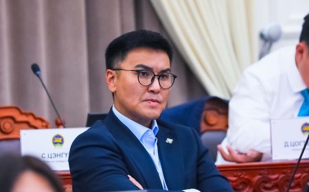 Ч.ЛОДОЙСАМБУУ: ГИШҮҮДЭД ЯМАР Ч ДАРАМТ ИРСЭН МОНГОЛЫН ПАРЛАМЕНТЫГ ИНГЭЖ "ӨШИГЛӨХ" ЭРХ БАЙХГҮЙ